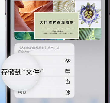 瓜州apple维修中心分享iPhone文件应用中存储和找到下载文件