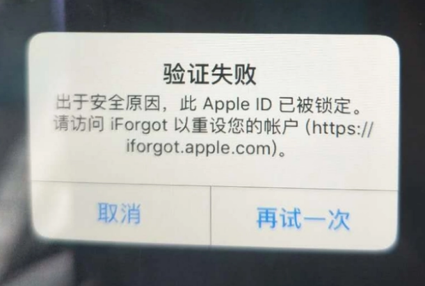 瓜州iPhone维修分享iPhone上正常登录或使用AppleID怎么办 