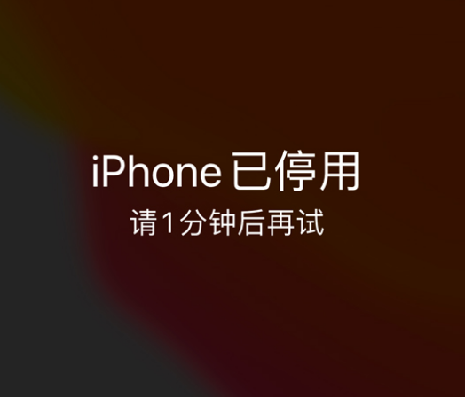 瓜州苹果手机维修分享:iPhone 显示“不可用”或“已停用”怎么办？还能保留数据吗？ 