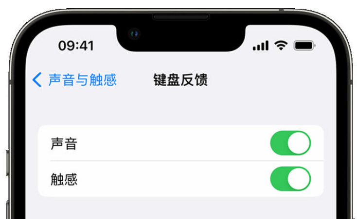 瓜州苹果手机维修分享iPhone 14触感键盘使用方法 