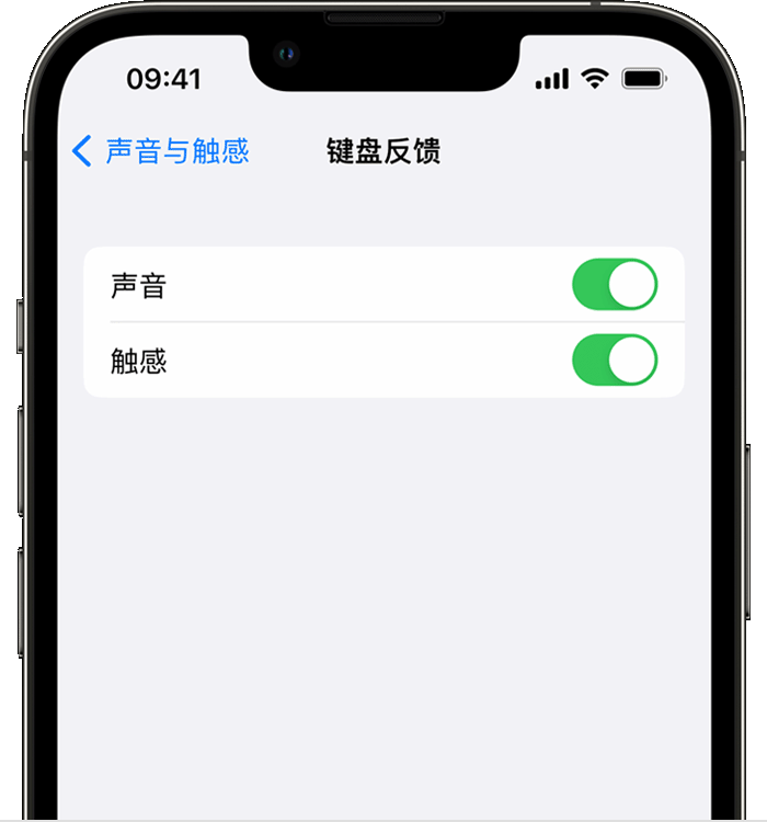 瓜州苹果14维修店分享如何在 iPhone 14 机型中使用触感键盘 