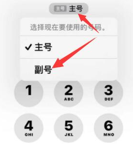 瓜州苹果14维修店分享iPhone 14 Pro Max使用副卡打电话的方法 