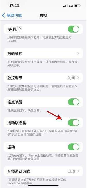 瓜州苹果手机维修分享iPhone手机如何设置摇一摇删除文字 